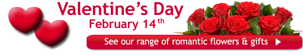 valentines-flowers-fun-banner.png